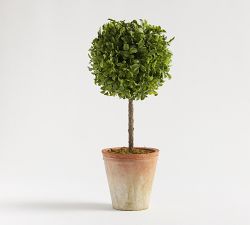 Faux Boxwood Topiary