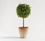 Faux Boxwood Topiary