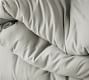 Dream Brushed Cotton Comforter