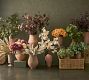 Faux Rust Mum Bundle