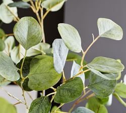 Faux Silver Dollar Eucalyptus Tree