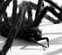 Lit XL Outdoor Spider