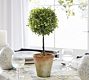 Faux Boxwood Topiary