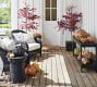 Peanuts&#8482; Snoopy&#8482; Pumpkin Doormat