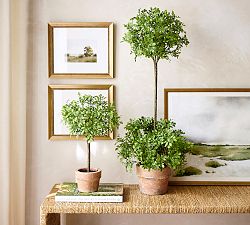Faux Boxwood Topiary