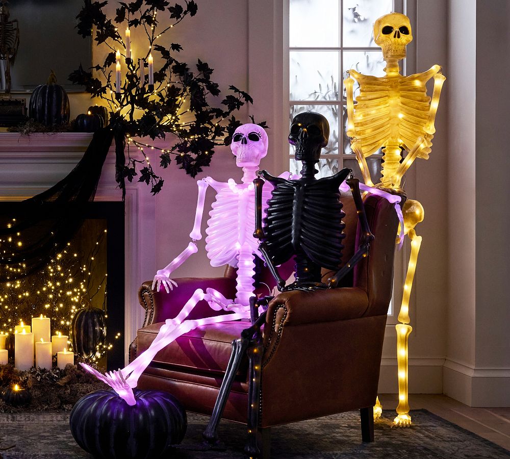 Lit Mr. Bones