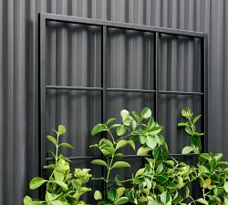 Temple Street Trellis