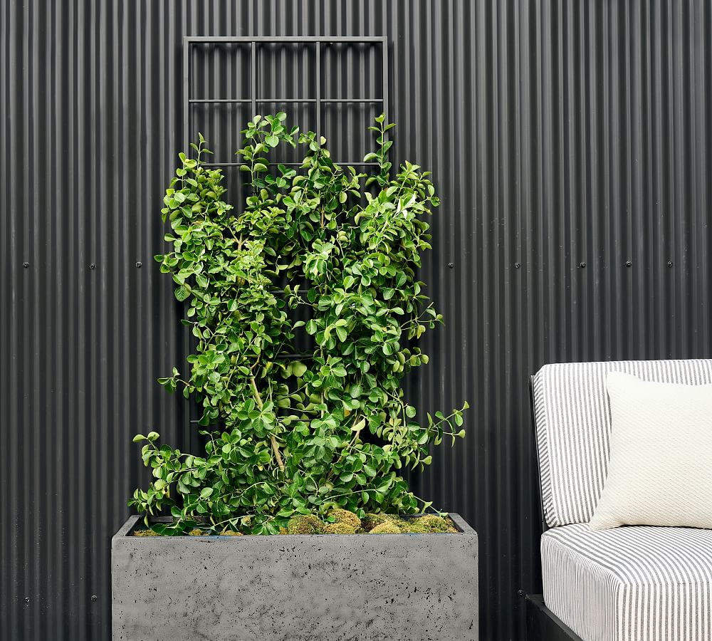 Temple Street Trellis