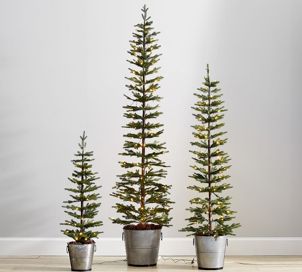 Pre-Lit Pine Trees in Galvanized Bucket