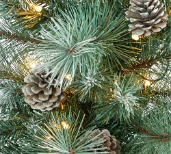 Potted Frosted Tip British Columbia Mountain Pine Artificial Christmas Tree