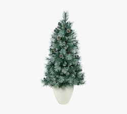 Potted Frosted Tip British Columbia Mountain Pine Artificial Christmas Tree