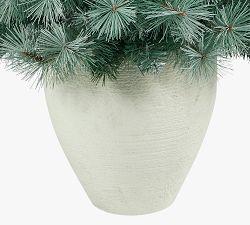 Potted Frosted Tip British Columbia Mountain Pine Artificial Christmas Tree