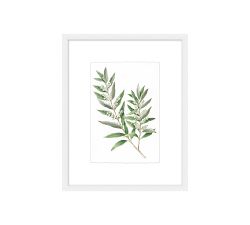 Monique Lhuillier Olive Botanical Framed Print