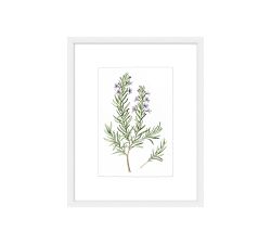 Monique Lhuillier Olive Botanical Framed Print