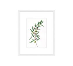 Monique Lhuillier Olive Botanical Framed Print