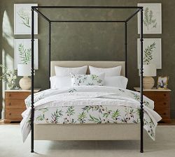 Monique Lhuillier Olive Botanical Framed Print