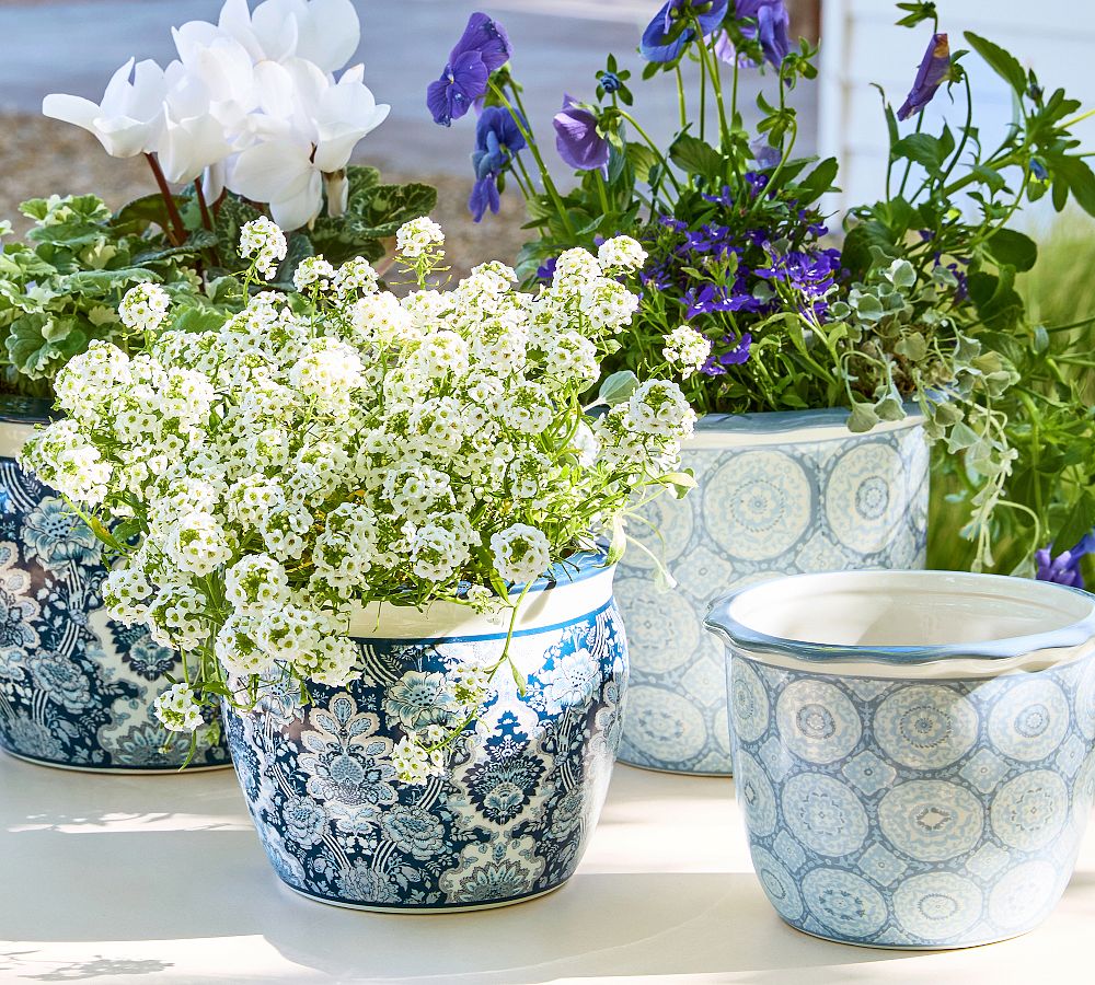 Kravet Arboretum Cachepots