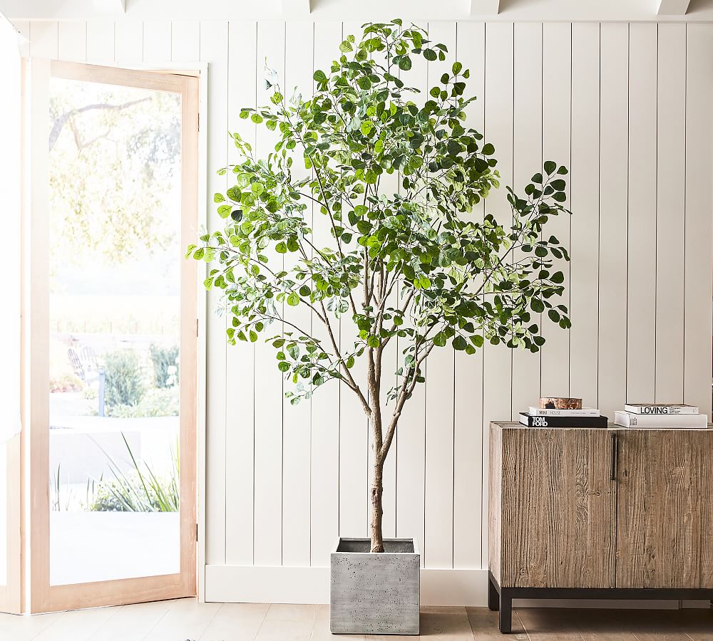 Faux Shady Lady Olive Tree