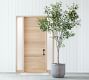 Faux Shady Lady Olive Tree