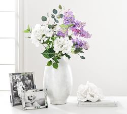 Faux Silver Dollar Eucalyptus Branch