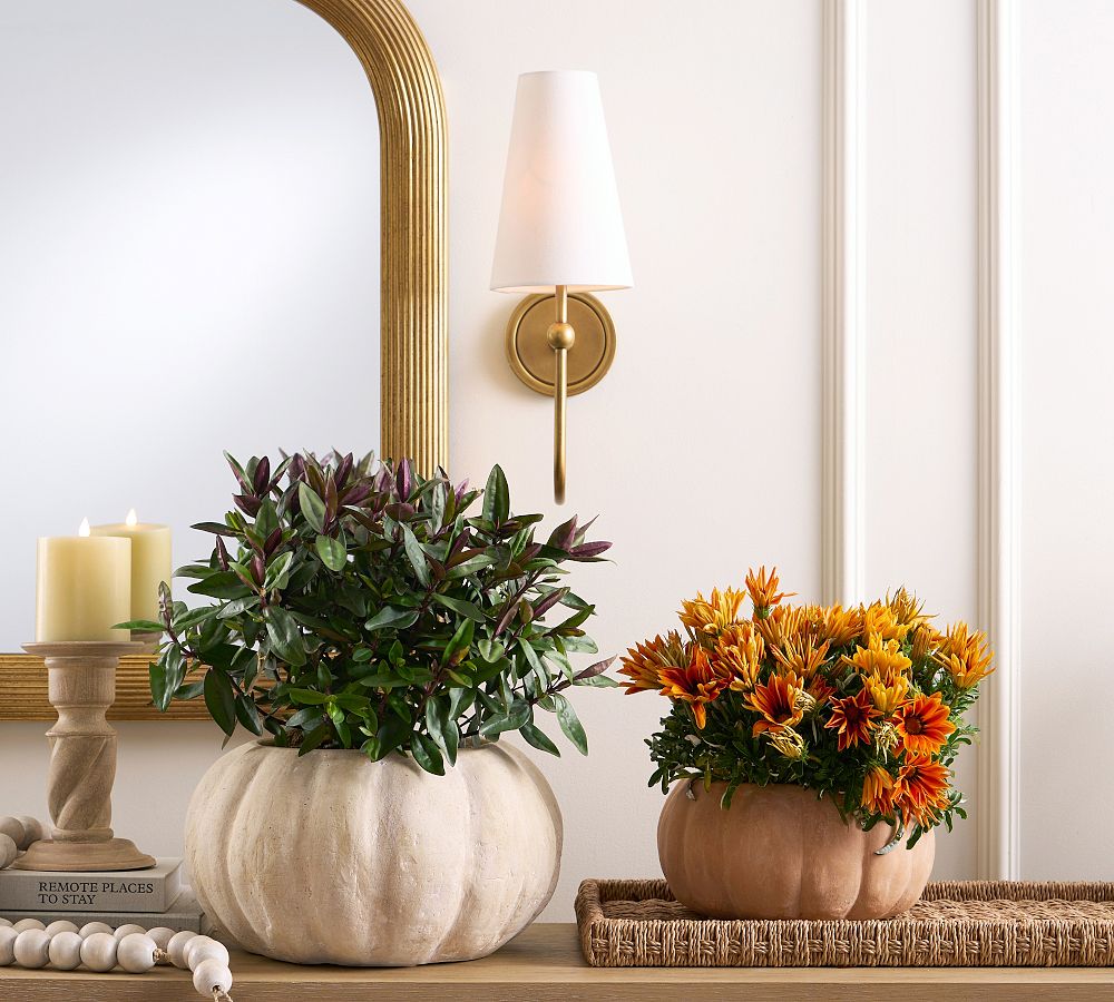 Terracotta Pumpkin Cachepots