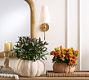 Terracotta Pumpkin Cachepot