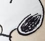 Peanuts&#8482; Fall Is Here Charlie Brown&#8482; Pillow