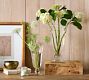 Glass Stem Vase