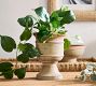 Faux Potted Trailing Houseplant