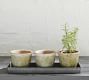 Provence Scalloped Edge Outdoor Planters - Moss