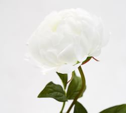 Faux Peony Stems