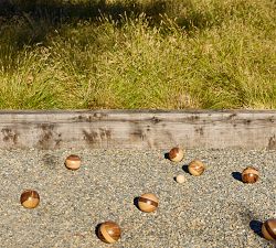 Travel Petanque Set