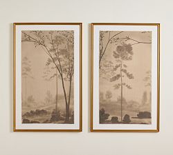 The Old Forest by Chelsea Fly