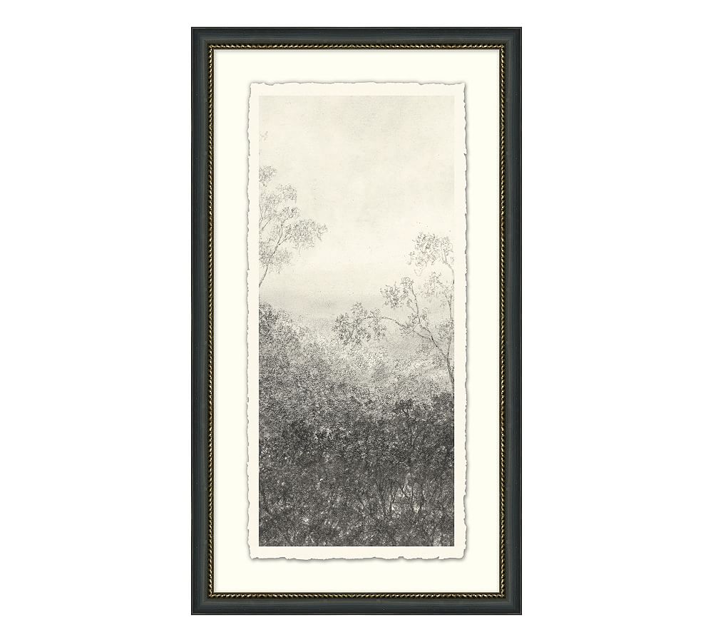 Charcoal VI Tall Trees by Aileen Fitzgerald