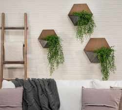 Naomi Pine Wood Wall Mounted Planters, Set of 3