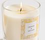 Bloom Scent Collection - Orange &amp; Vetiver