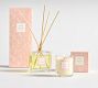 Bloom Scent Collection - Jasmine &amp; Crisp Linen