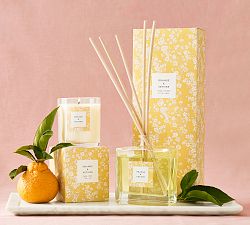 Bloom Scent Collection - Orange &amp; Vetiver