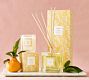 Bloom Scent Collection - Orange &amp; Vetiver
