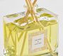 Bloom Scent Collection - Orange &amp; Vetiver
