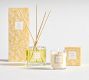 Bloom Scent Collection - Orange &amp; Vetiver