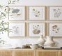 Artisan Studio Handcrafted Ceramic Bowls