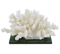 Cluster Coral On Black Glass Base