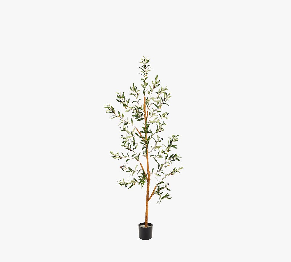 Faux Olive Trees