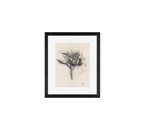 Single Bloom Sunflower Sketch