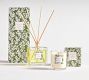 Bloom Scent Collection - White Lilac &amp; Violet