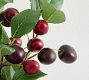 Faux Cherry Bundle