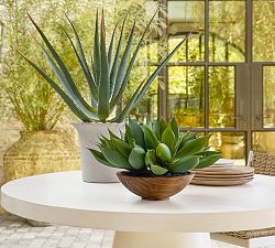 Faux Composed Spike Aloe Plant In Wooden Pot