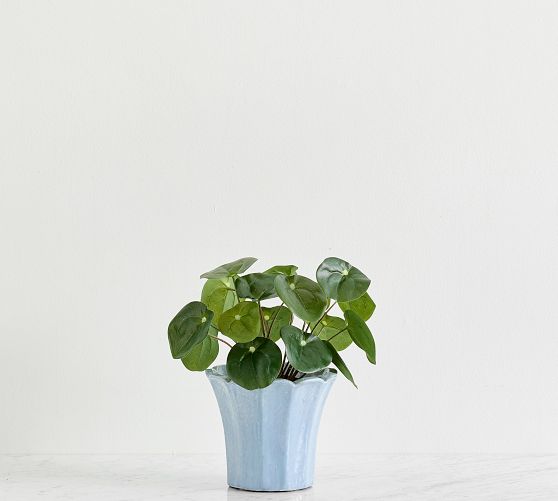 Faux Elephant Ear Plant