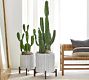 Faux Saguaro Cactus
